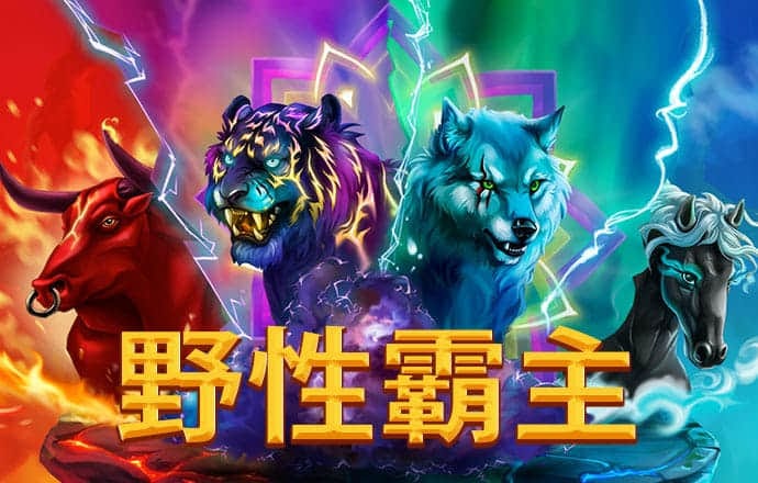 ayx官方体育入口